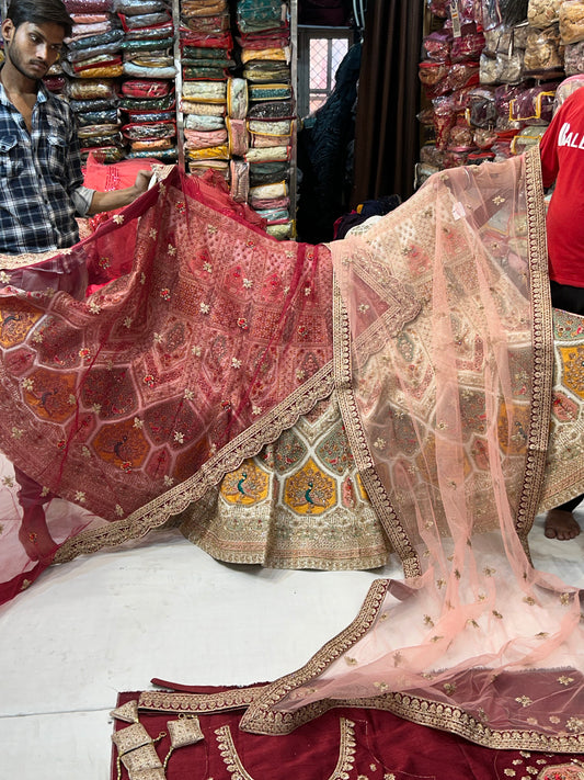 Lehenga extraordinaria de pavo real blanco en Delhi