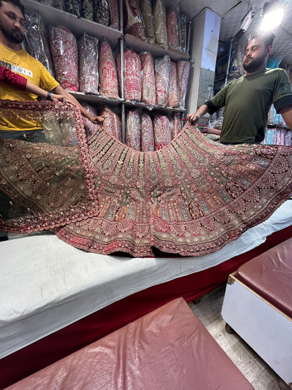 Extraordinary Blue pink Lehenga