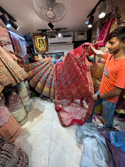 Preciosa lehenga roja de Delhi