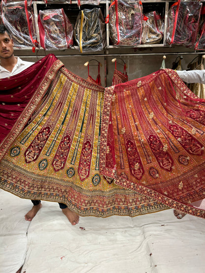 Double Dupatta Awesome Red mustard Lehenga