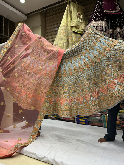 Gorgeous blue Lehenga