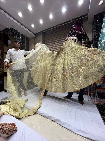 Fabulous yellow PEACOCK Lehenga SALE