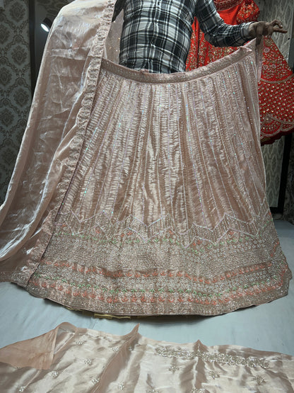 Chandni chowk famous Lehenga pink peach