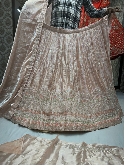 Chandni chowk famous Lehenga pink peach