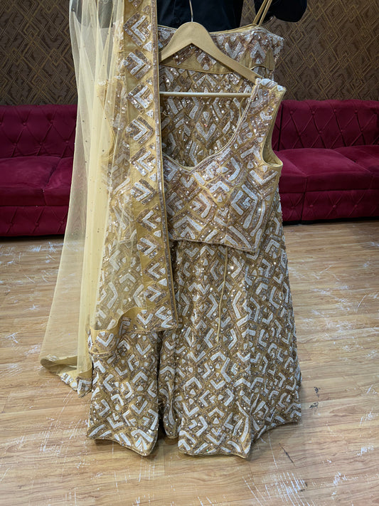 Beautiful mustard Lehenga