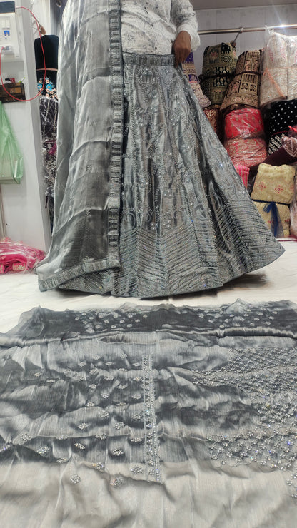 Shinning silver Lehenga