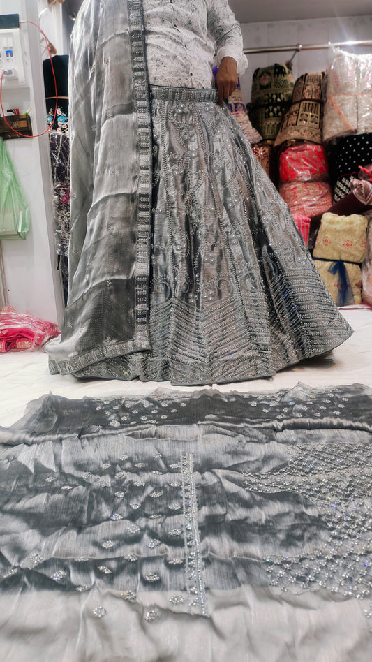 Shinning silver Lehenga