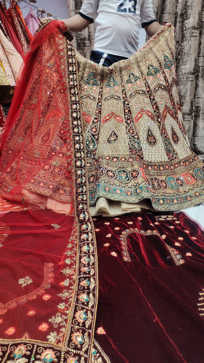 Beautiful Lehenga