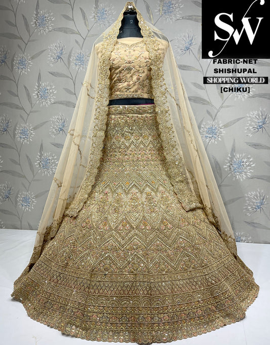 Attractive chiku Lehenga