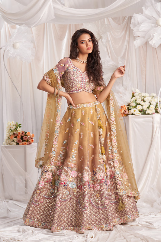 Delightful peach Lehenga