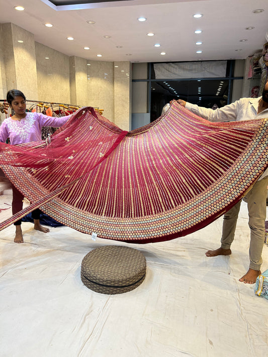 Lehenga Heroine recta de diseñador en dos tonos con secuencia rosa y roja