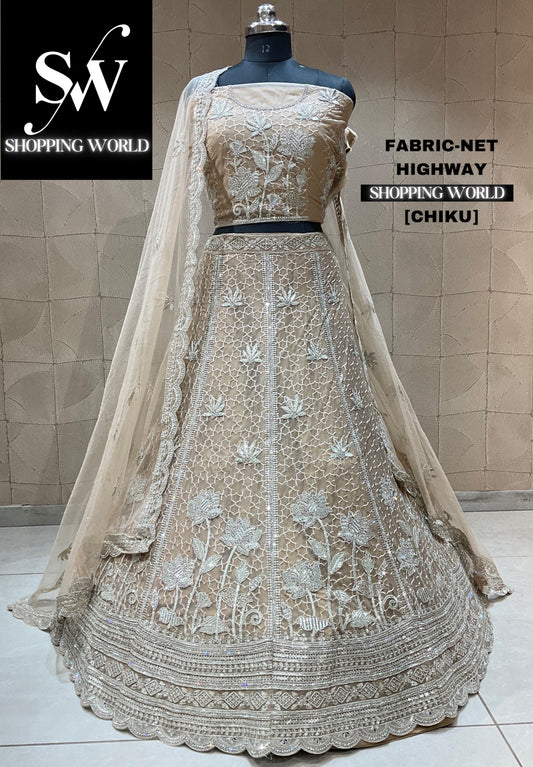 Beautiful chiku lehenga