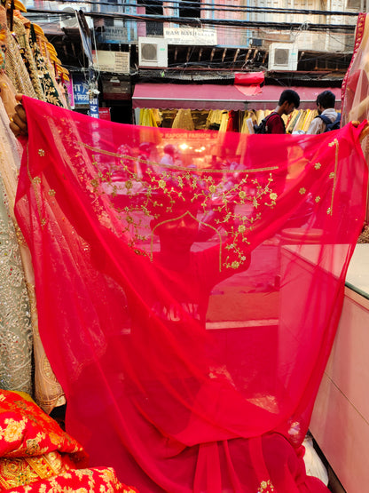 Pleasing red saree