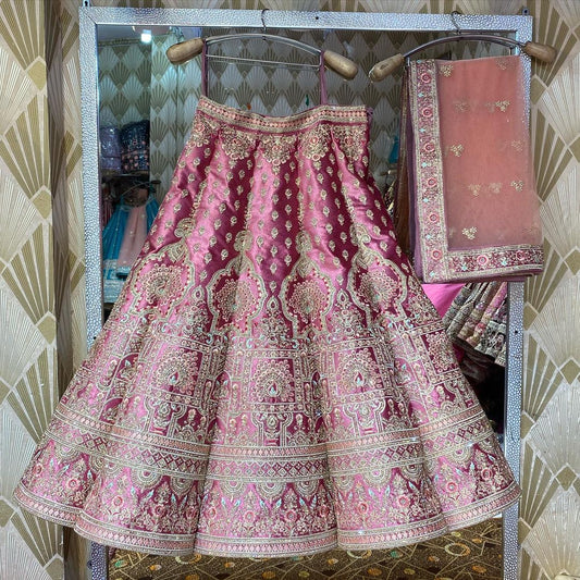 Pink shade wow Lehenga - Shopping World