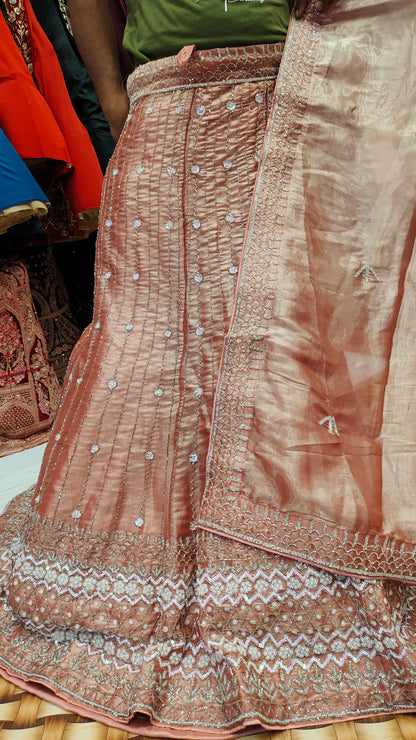 Peach panel Lehenga Shopping World