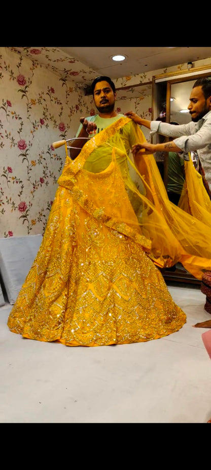 Stunner Lehenga - Shopping World