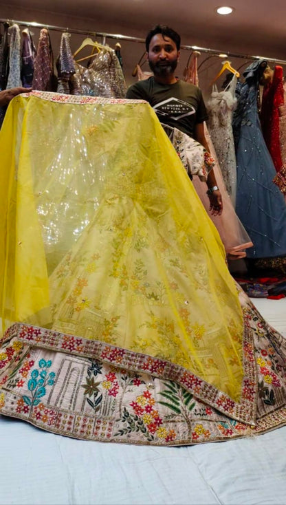 Awesome Designer Lehenga - Shopping World