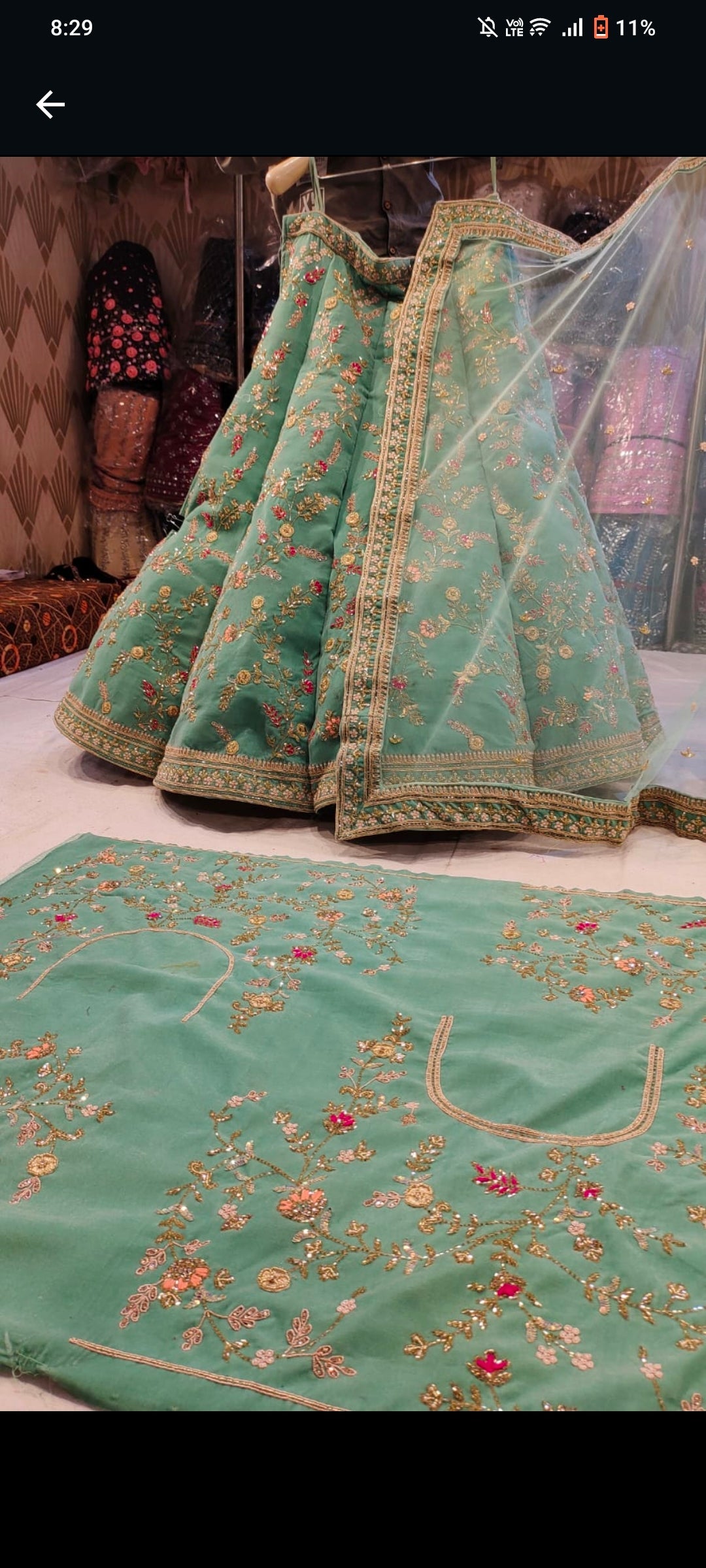 Fabulous Designer Lehenga - Shopping World