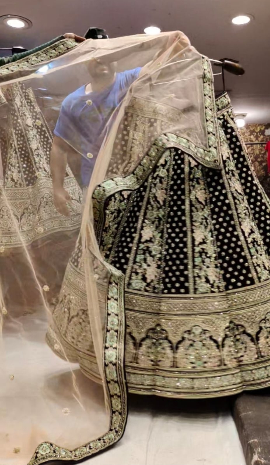 Peacock Lehenga - Shopping World