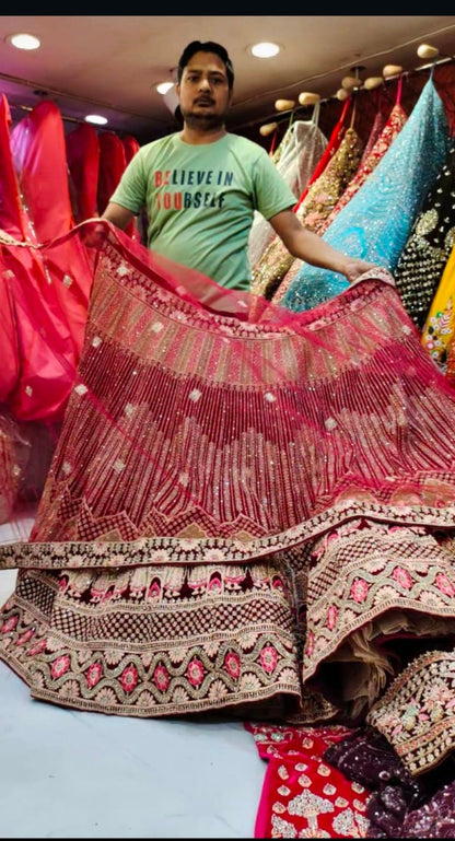 Panel Bridal Lehenga - Shopping World